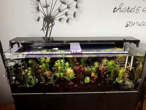 LAWA LAWA WULKANICZNA 2-8 mm 25 kg ŻWIREK AKWARIUM NA DNO na Arena.pl