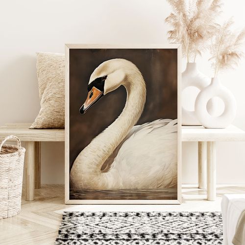 Plakat biały łabędź obraz 40x50 cm na Arena.pl