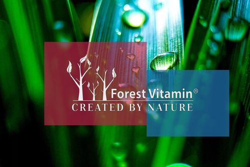 FOREST Vitamin Kryl 500mg 60 vcaps na Arena.pl