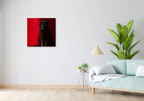 Obraz 60x60cm Elegancja w Cieniu na Arena.pl