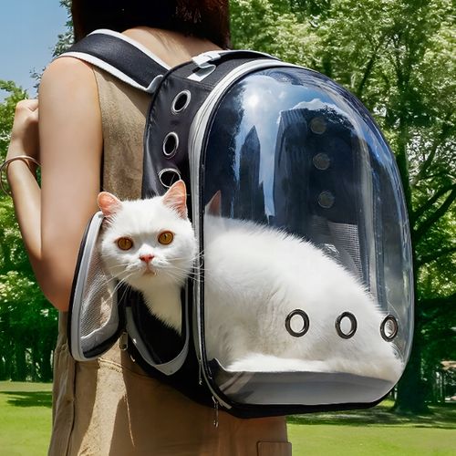 TRANSPORTER PLECAK TORBA PRZEZROCZYSTA DLA KOTA PSA ZWIERZĄT na Arena.pl