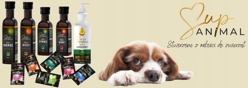 POSTBIOTYK DLA PSA MAŚLAN SupANIMAL ZDROWA SKÓRA SIERŚĆ JELITA DODATEK KARM na Arena.pl
