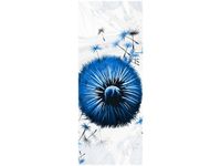 100CM 40CM OBRAZ ŚCIENNY NIEBIESKIE DMUCHAWCE DRUK