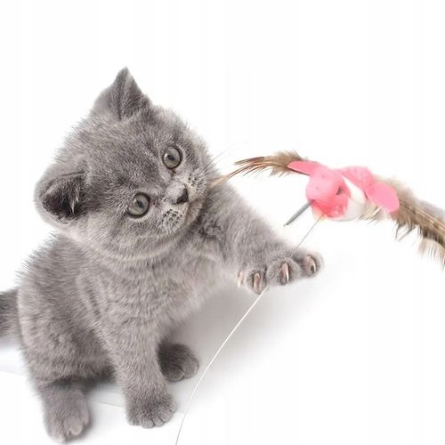 Zabawka dla kota INTERAKTYWNA ruchoma kwiat PTAK na Arena.pl