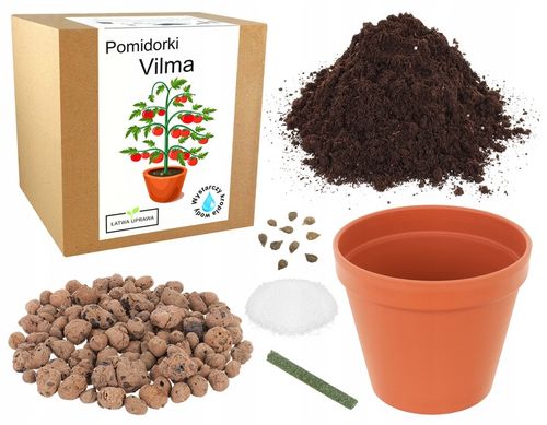 ZESTAW DO UPRAWY POMIDOR VILMA POMIDORY KOKTAJLOWE NASIONA 10x WIELOLETNIA na Arena.pl