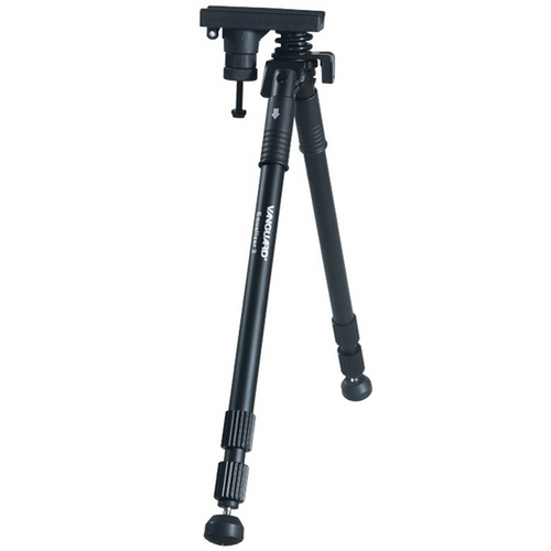 VANGUARD Equalizer 2 Pastorał na Arena.pl