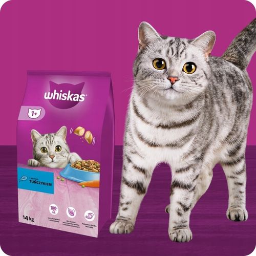 SUCHA KARMA WHISKAS DLA KOTA Z PYSZNYM TUŃCZYKIEM 14KG na Arena.pl