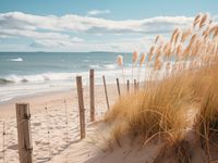 product-compare-59352515