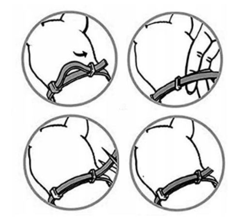 OBROŻA NA PASOŻYTY DLA KOTÓW 40CM 8 MIESIĘCY NATURALNE OLEJKI na Arena.pl