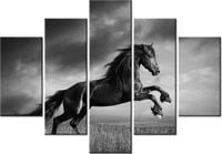 105CM 150CM OBRAZ 5 ELEM KOŃ DRUK