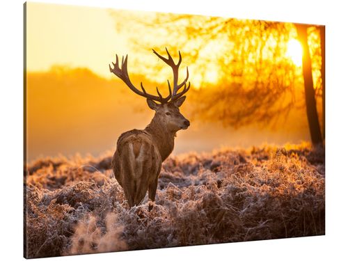 Obraz Jeleń 100x70 PŁÓTNO na Arena.pl
