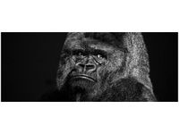 100X40CM GORILLA FACE FEANS OBRAZ DREWNO