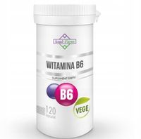 Witamina B6 120 kapsułek 18 mg Soul-Farm