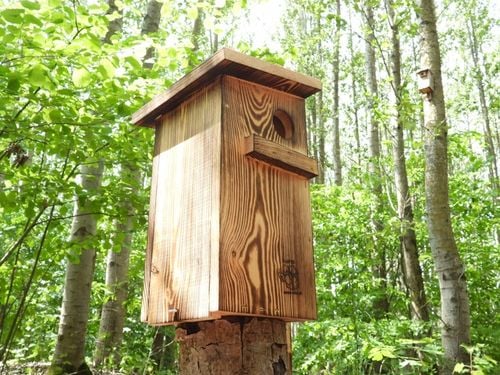 Budka dla wiewiórki Domek opalany na Arena.pl