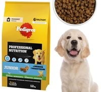 pedigree junior professional nutrition 12 kg z drobiem i warzywami
