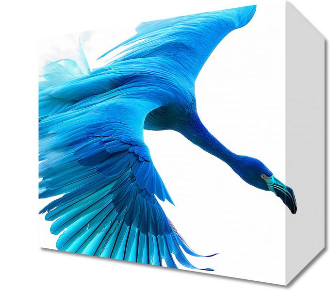 Obraz 20x20cm Błękitny Lot zdjęcie 1