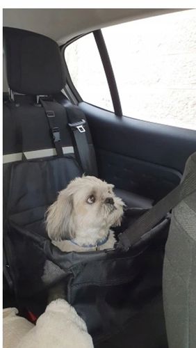 FOTELIK SAMOCHODOWY KOJEC DO SAMOCHODU DLA PSA na Arena.pl