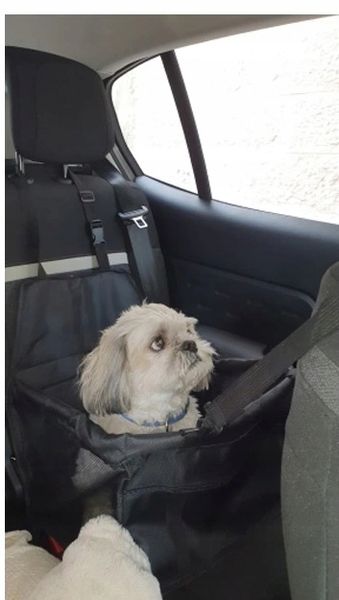 FOTELIK SAMOCHODOWY KOJEC DO SAMOCHODU DLA PSA zdjęcie 2