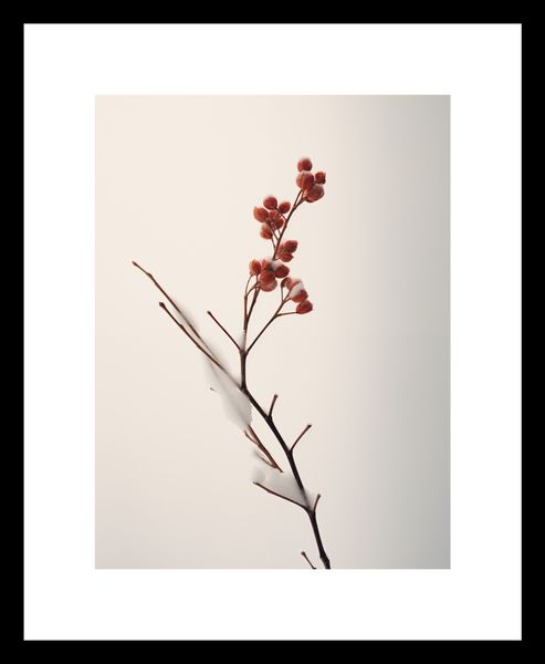 Plakat 15x20cm Subtelna Siła Zimy zdjęcie 3
