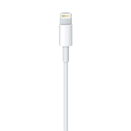 Apple | Męski | 4-pinowy USB typu A | Męski | Apple Lightning | 2 m na Arena.pl