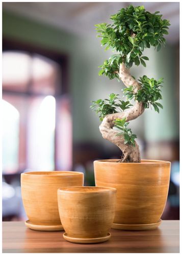 DONICZKA CERAMICZNA BARYŁKA 4 Biały 22x17 cm na Arena.pl