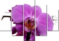 105CM 150CM ZEGAR 5 ELEM FIOLETOWY STORCZYK DRUK OBRAZ