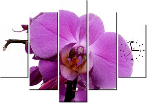 105CM 150CM ZEGAR 5 ELEM FIOLETOWY STORCZYK DRUK OBRAZ na Arena.pl