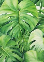 Plakat 25x35cm Tajemnice Liści