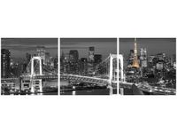 OBRAZ RAINBOW BRIDGE WANGAN