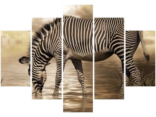 105CM 150CM OBRAZ 5 ELEM ZEBRA WODOPOJU DRUK na Arena.pl