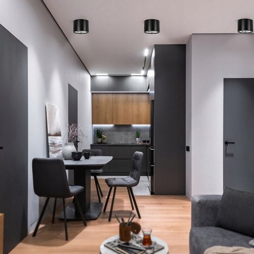 Oprawa Natynkowa Sufitowa AR111 TUBA LED GU10 Lampa Plafon Lampa Do na Arena.pl