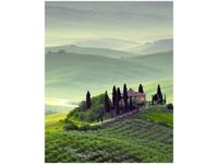 40X50CM GOSPODARSTWO TOSKANII OBRAZ