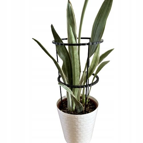 Podpórki do roślin kwiatów podpora pierścieniowa podpórka RINGS S33cm 16/18 na Arena.pl