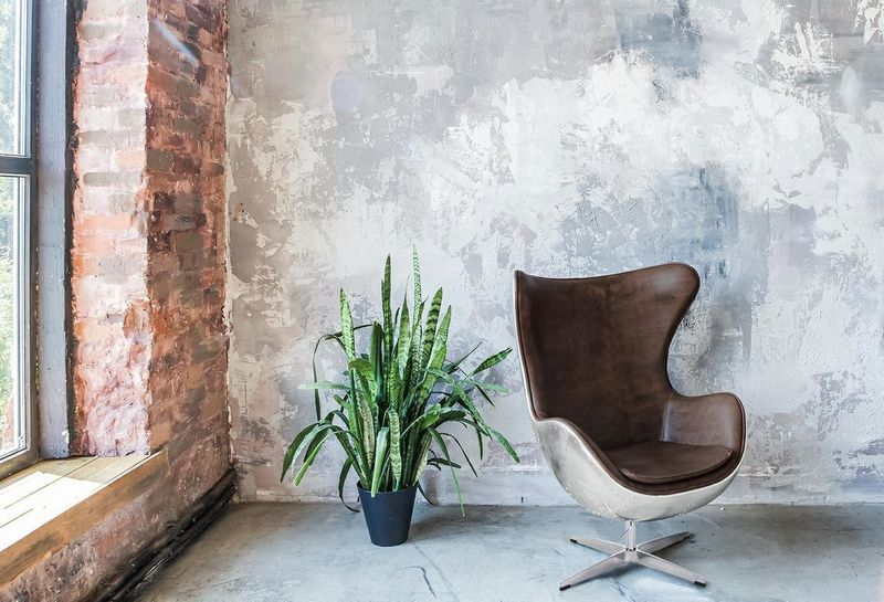 Fotel Jajo aluminium brąz PU zdjęcie 2