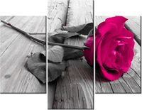 product-compare-58682252