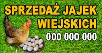 BANER REKLAMOWY projekt 200x100 cm JAJKA WIEJSKIE
