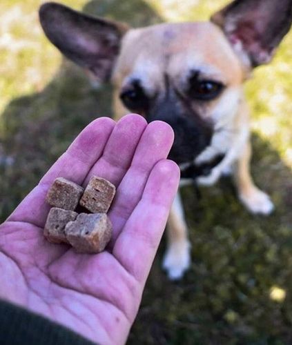 Kiwi Walker Przysmaki liofilizowane 100% kaczka 80g na Arena.pl