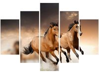 105CM 150CM OBRAZ 5 ELEM STADO KONI DRUK