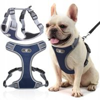 SZELKI DLA MAŁEGO PSA BEZUCISKOWE SPACEROWE MOCNE ODBLASKI REGULACJA r. M