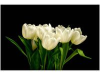 product-compare-58694114