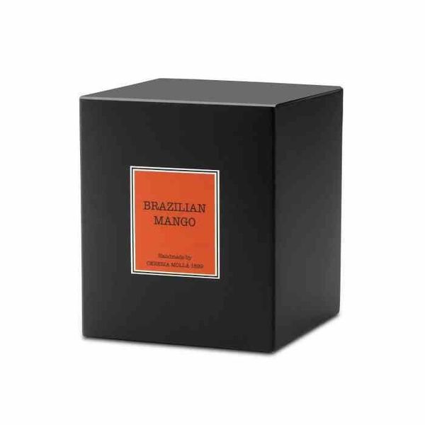 Świeca Santiago 230gr. Brazilian mango zdjęcie 5