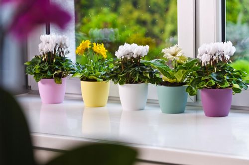 DONICZKA OSŁONKA Z PODSTAWKĄ DONICA KOLORY 18cm na Arena.pl