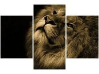 product-compare-58646693