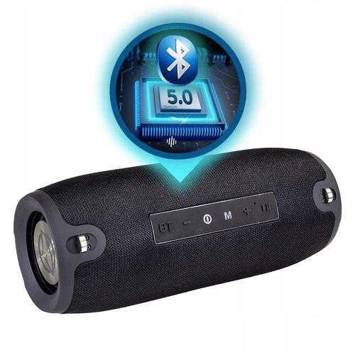 Głośnik Bluetooth MANTA SPK15GO-BK na Arena.pl