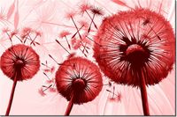 product-compare-58656901