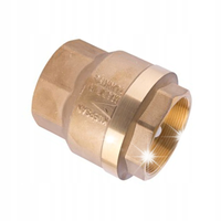 Zawór zwrotny Calido 2'' CA/ZZC-50