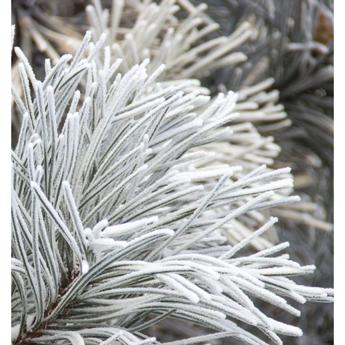 Yodeyma Kara Woda Perfumowana Dla Kobiet 100ml na Arena.pl