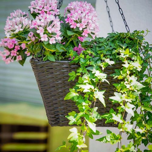 Zestaw donic PATIO Wenge 47391 na Arena.pl