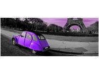 100X40CM CYTRYNA FIOLECIE OBRAZ DREWNO