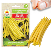 FASOLKA SZPARAGOWA NASIONA FASOLI KARŁOWA ŻÓŁTA BERGGOLD WCZESNA 50G